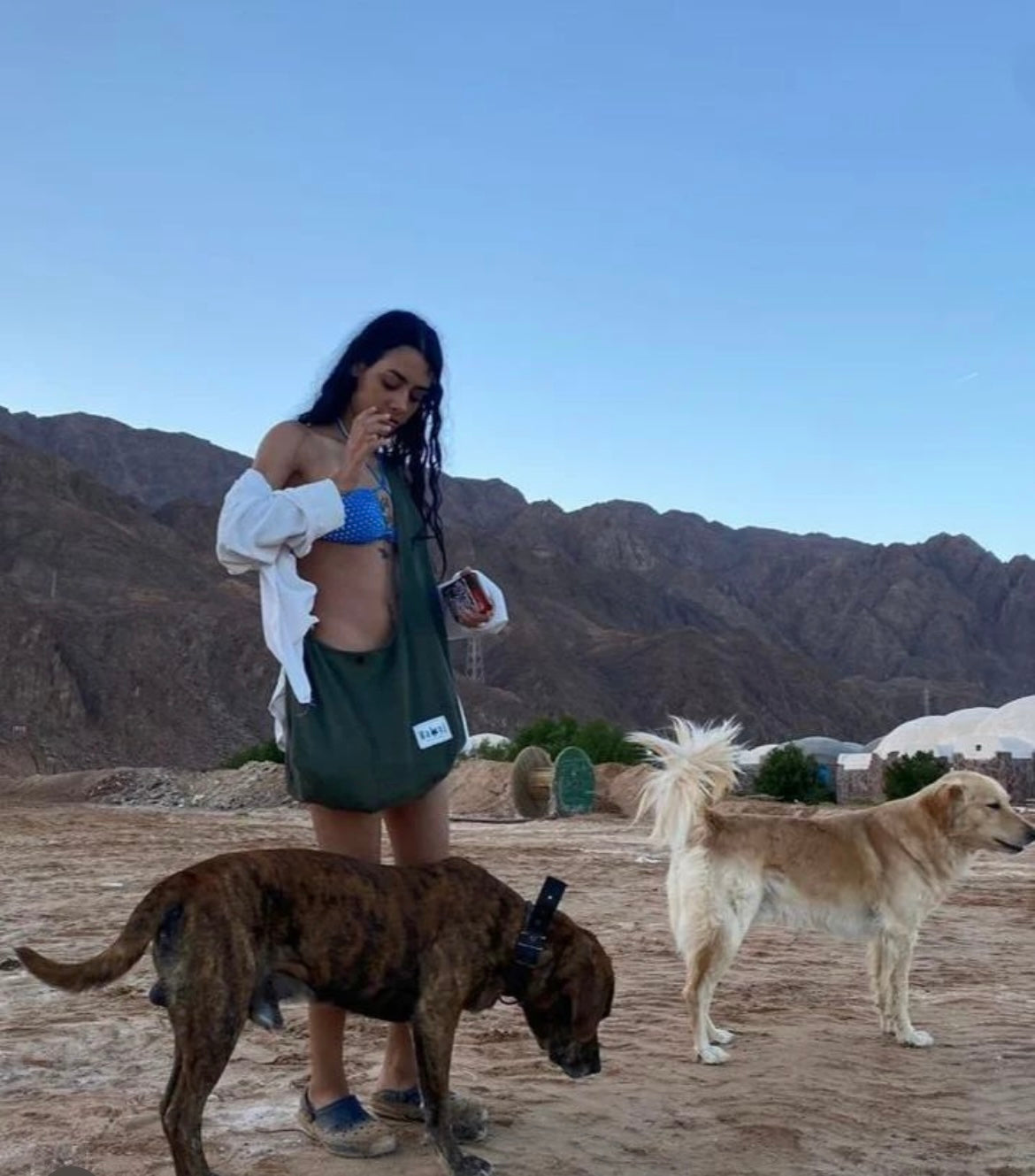 OLIVE RIPPED SHOULDER